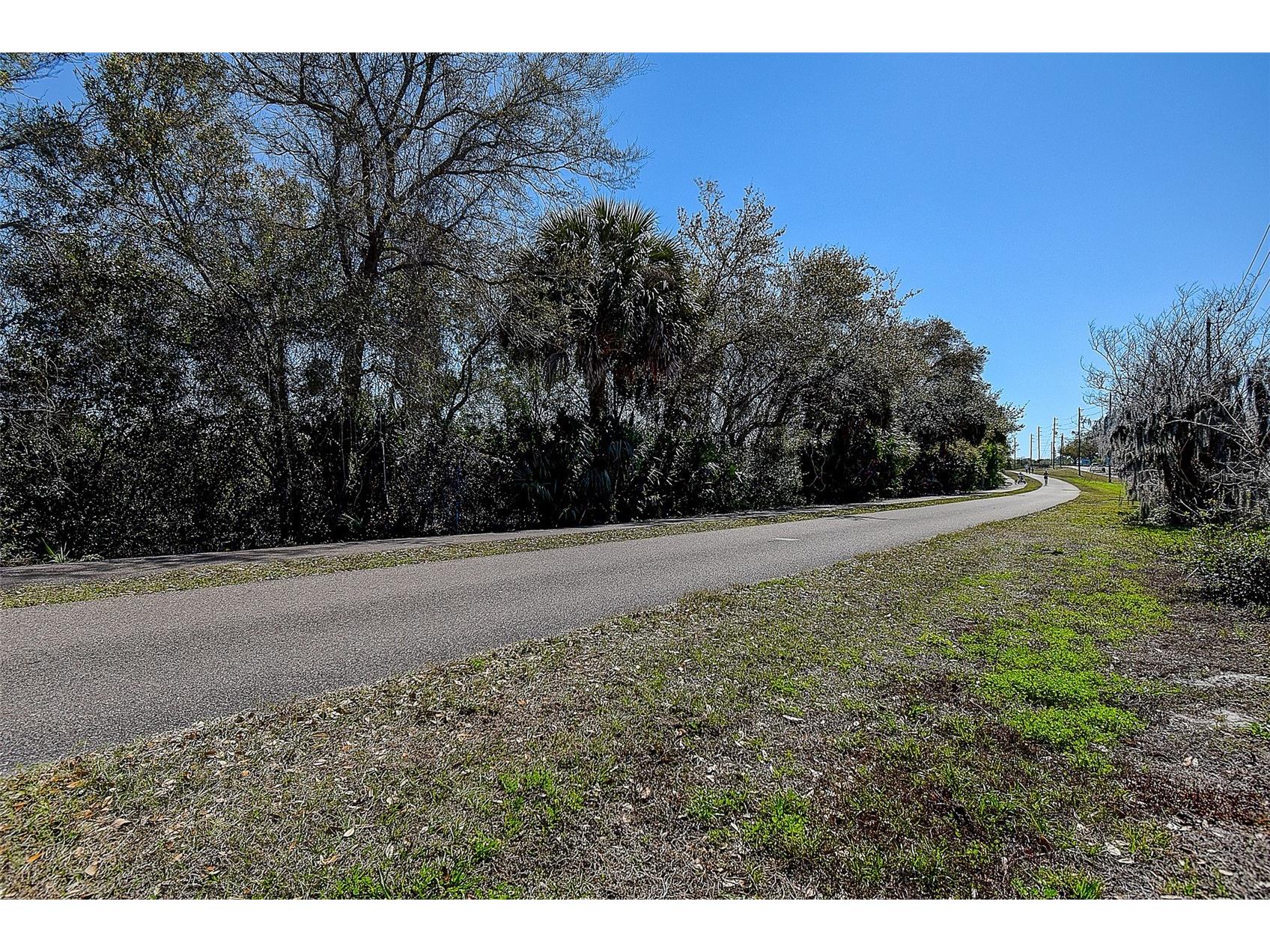 201 South Street Palm Harbor FL 34683 TB8478891 image42