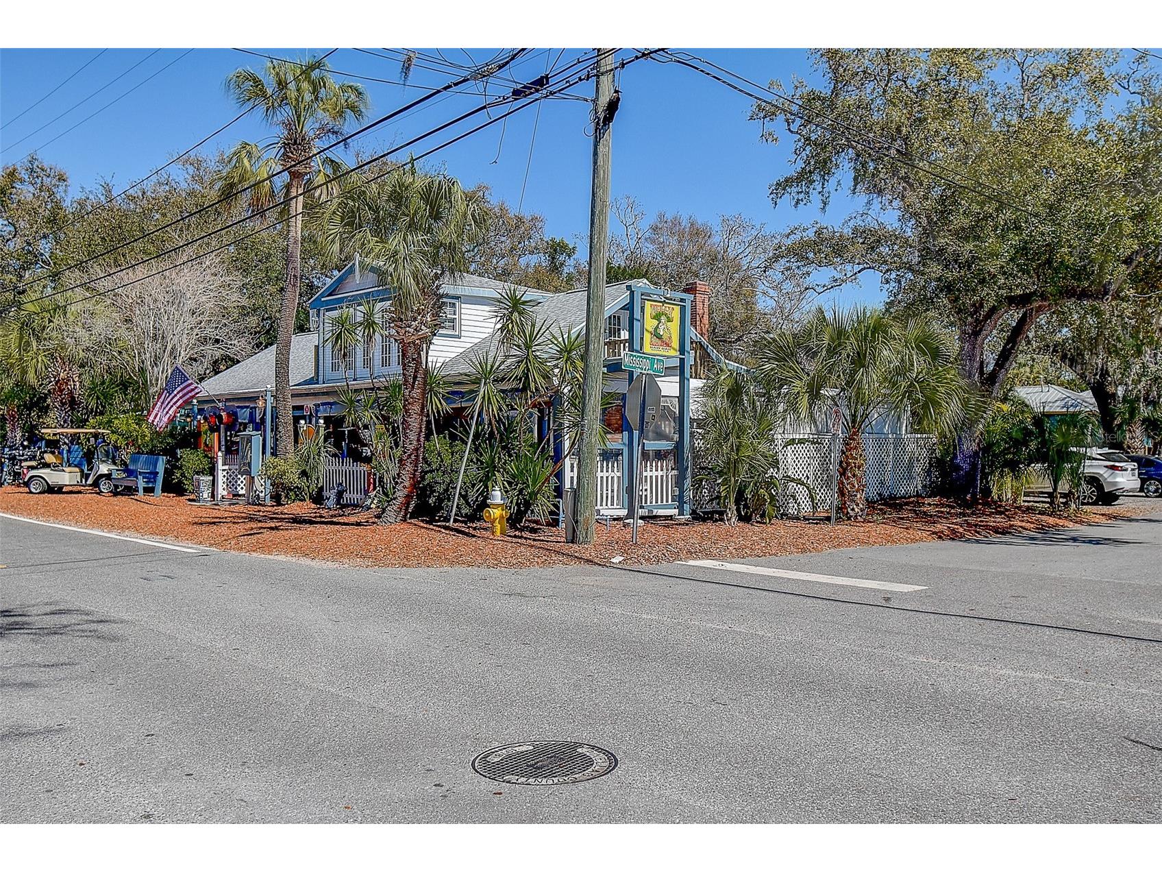 201 South Street Palm Harbor FL 34683 TB8478891 image44