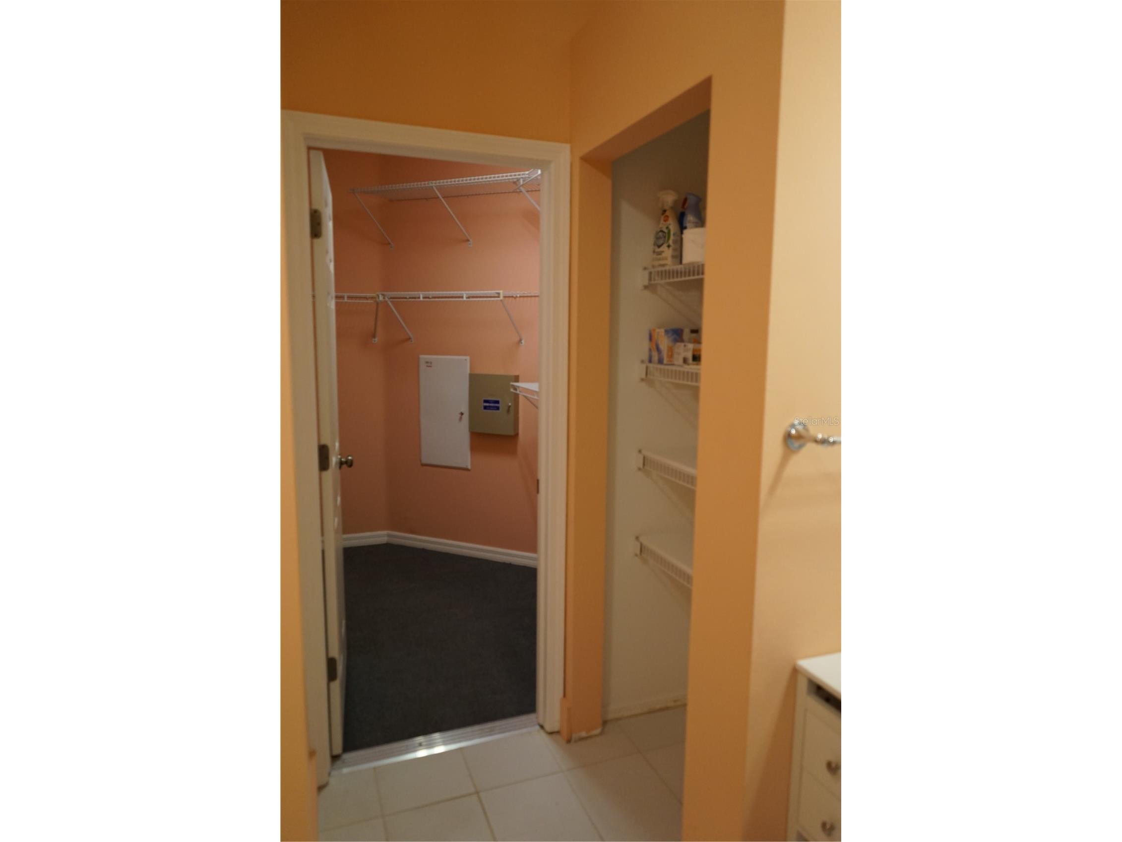 201 Sunset Crest Court Apollo Beach FL 33572 TB8498120 image35