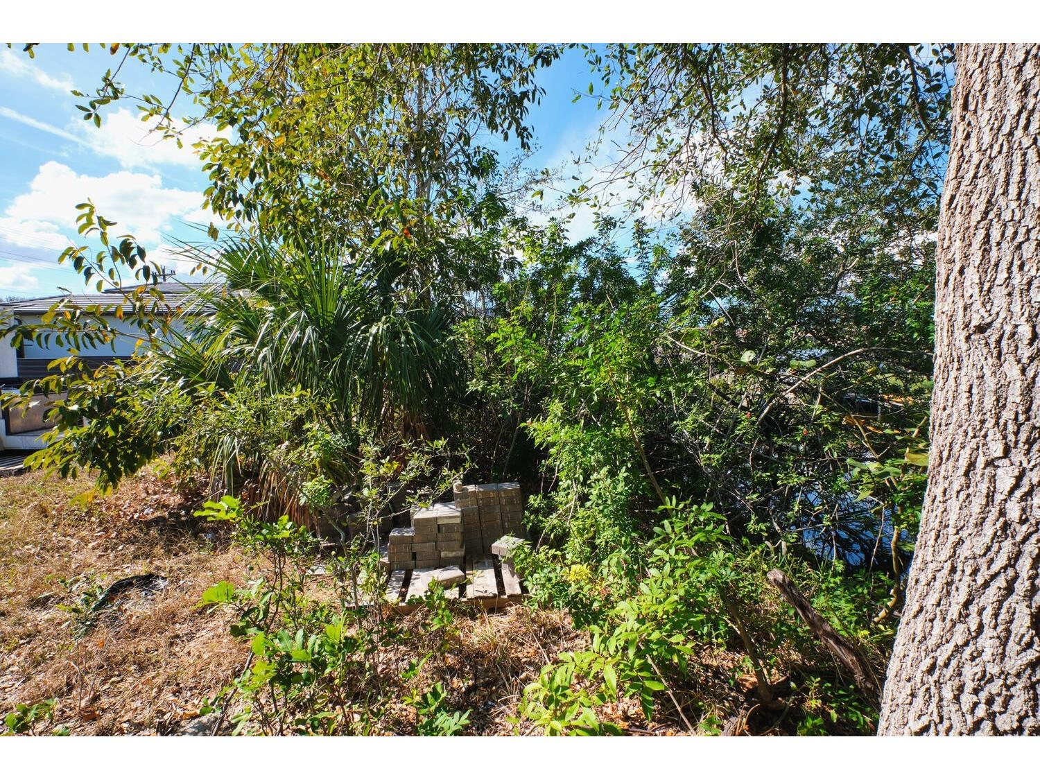 201 SW 40th Street Cape Coral FL 33914 C7526130 image47
