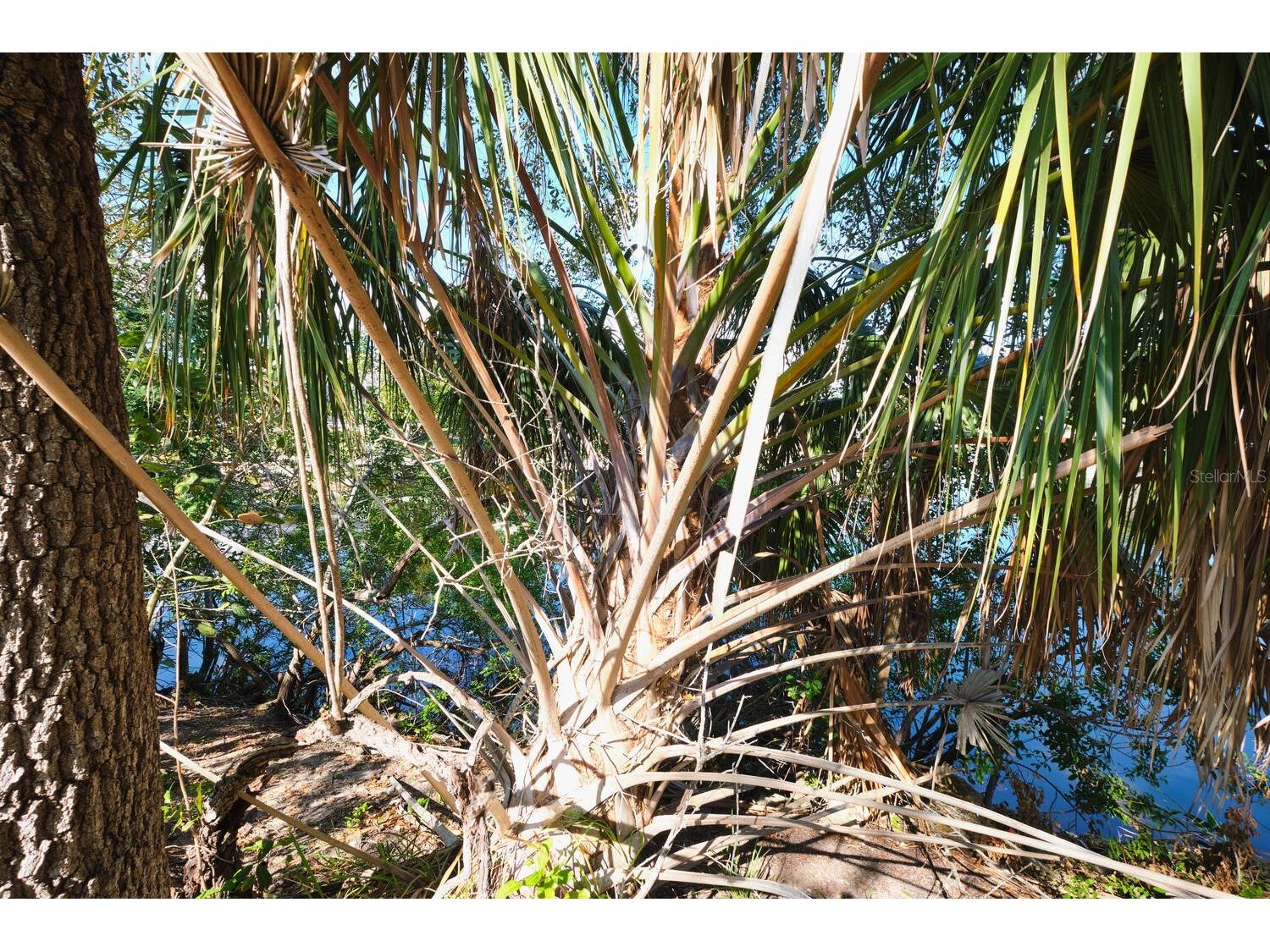 201 SW 40th Street Cape Coral FL 33914 C7526130 image49