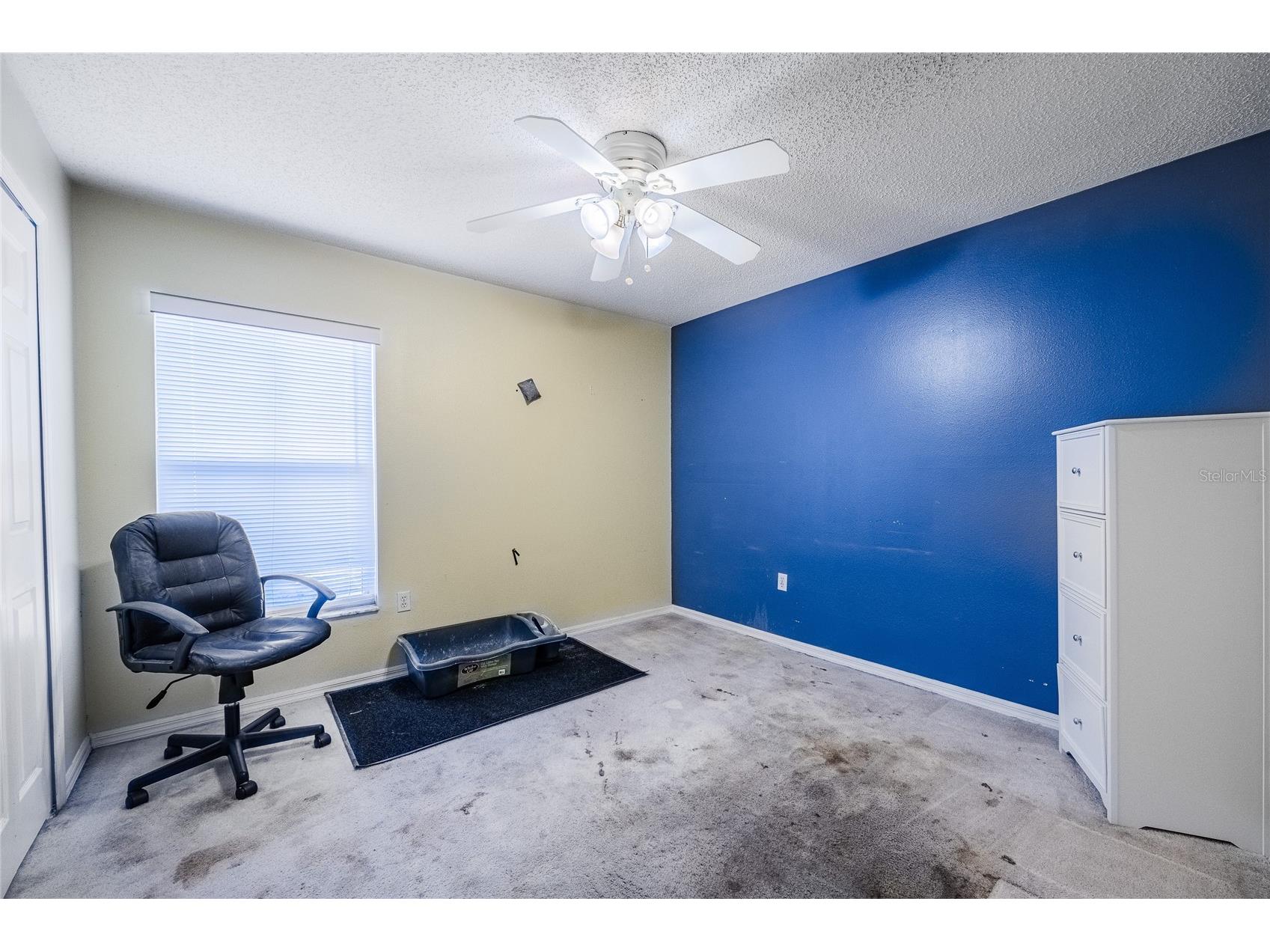 201 Timberpark Drive Davenport FL 33837 TB8507543 image16