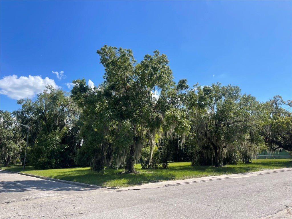 201 W Bay Street Wauchula FL 33873 A4545285 image1