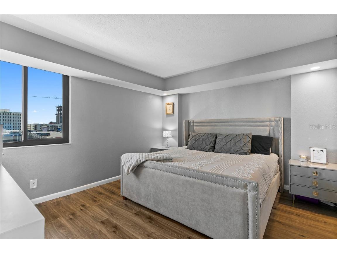 201 W Laurel Street #1006 Tampa FL 33602 - HILLSBOROUGH RIVER TB8440863 image13