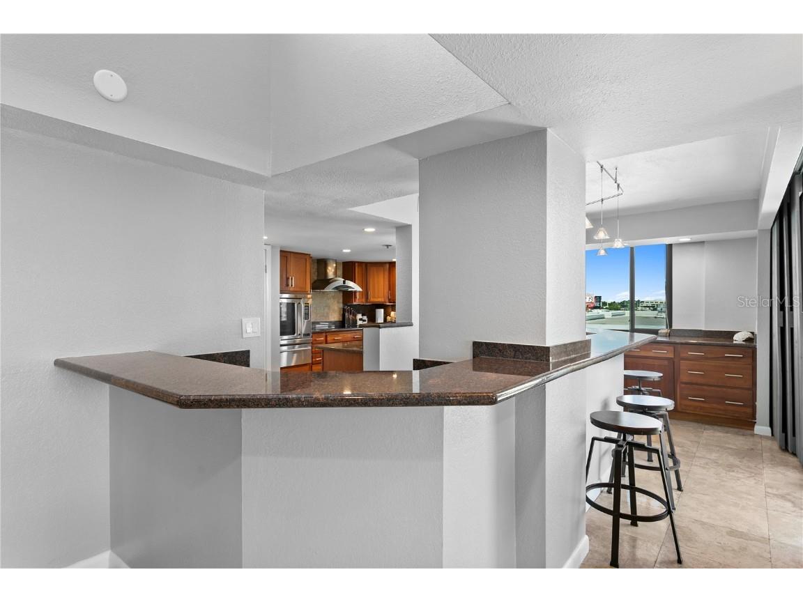 201 W Laurel Street #1006 Tampa FL 33602 - HILLSBOROUGH RIVER TB8440863 image41