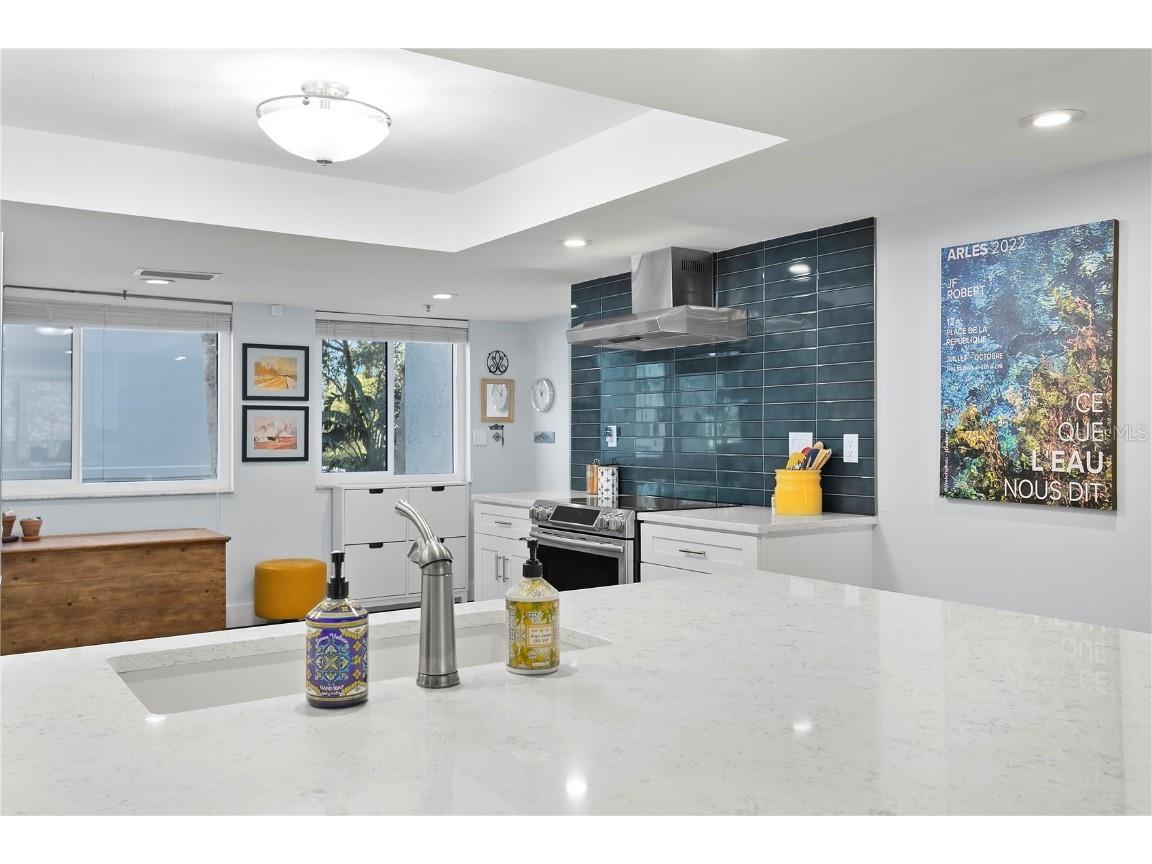 201 W Laurel Street #212 Tampa FL 33602 - HILLSBOROUGH RIVER TB8450942 image7