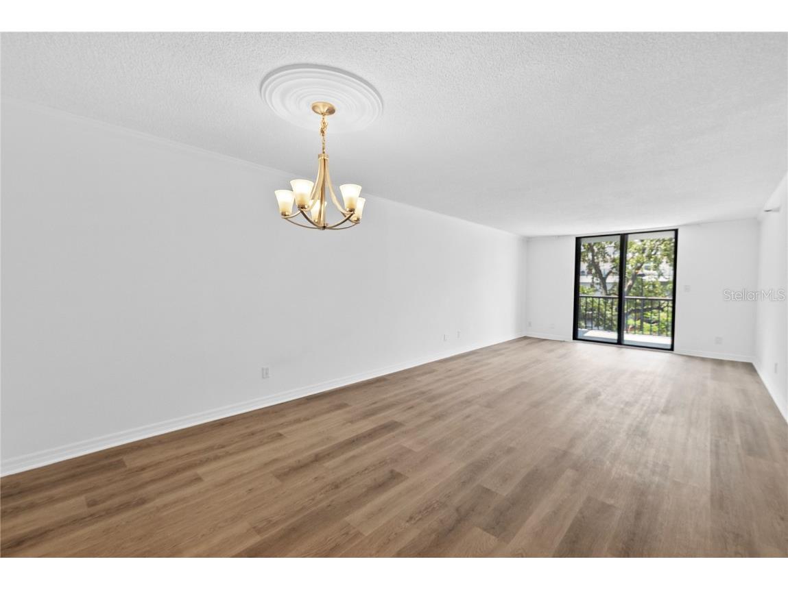 201 W Laurel Street #308 Tampa FL 33602 - HILLSBOROUGH RIVER TB8401540 image5