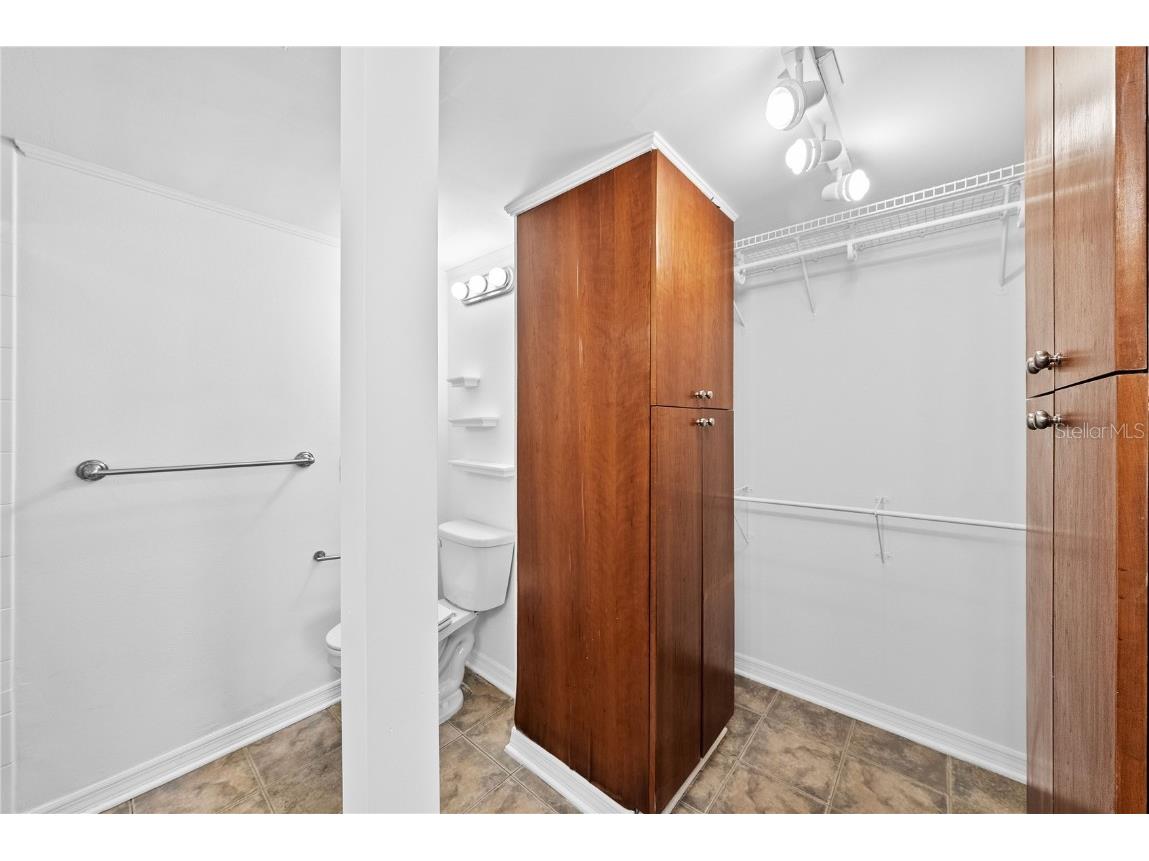 201 W Laurel Street #308 Tampa FL 33602 - HILLSBOROUGH RIVER TB8401757 image15