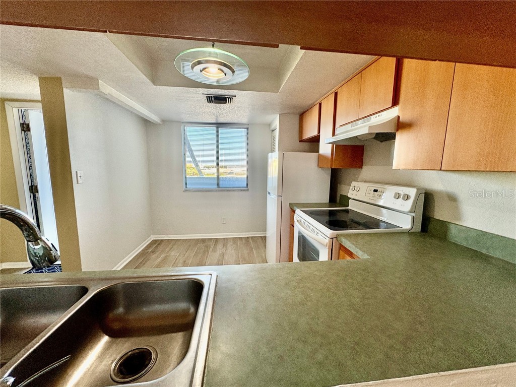 201 W Laurel Street #608 Tampa FL 33602 - HILLSBOROUGH RIVER TB8425562 image4