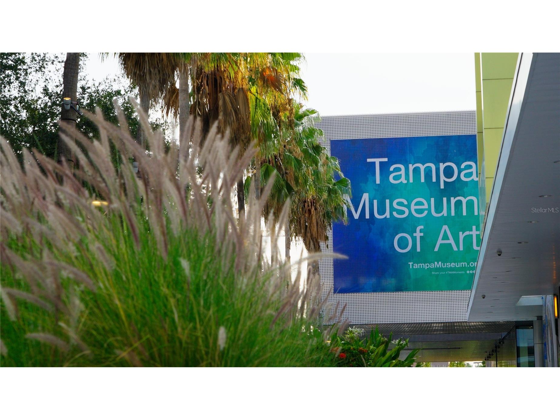 201 W Laurel Street #701 Tampa FL 33602 TB8480430 image36