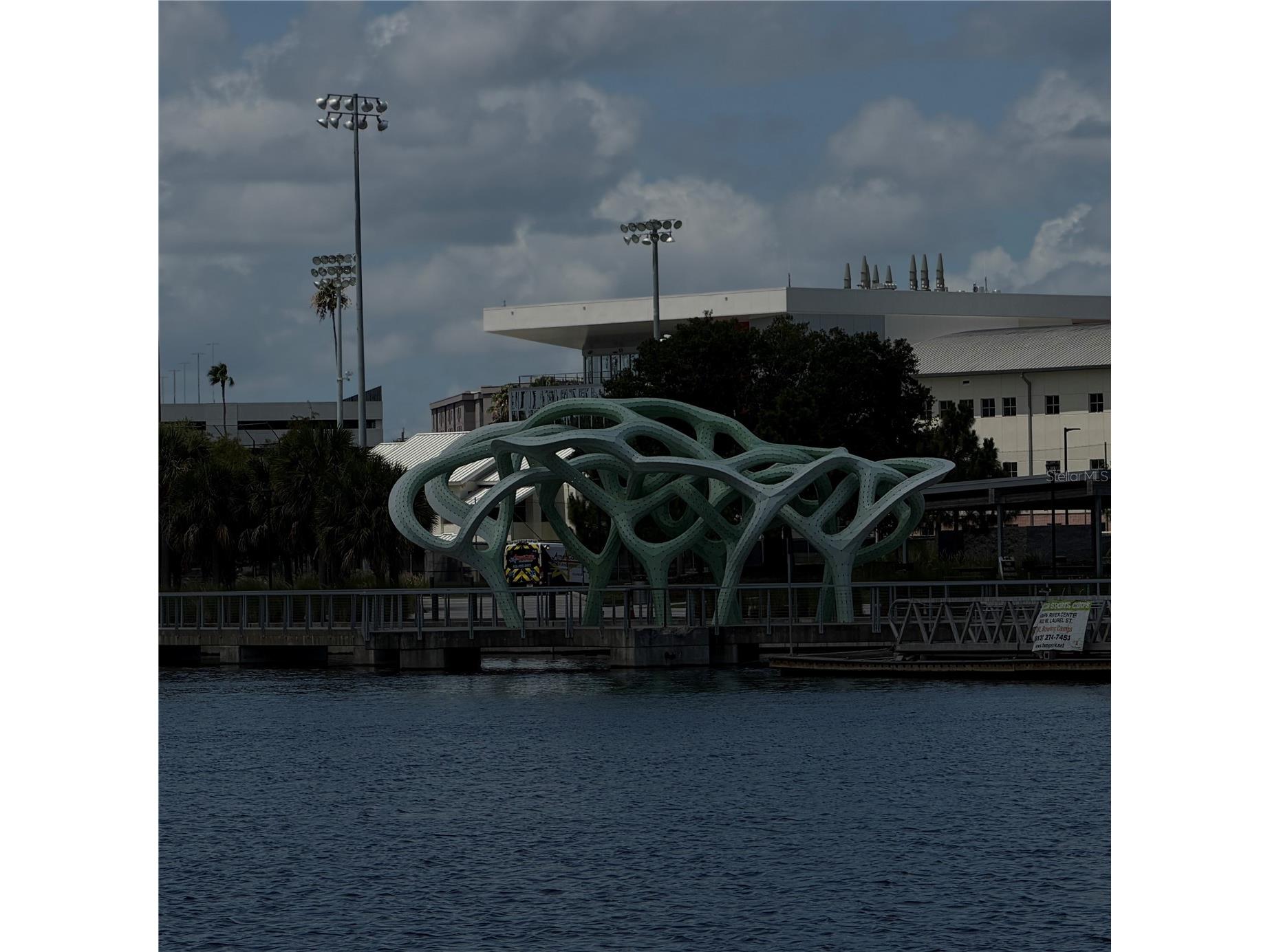 201 W Laurel Street #703 Tampa FL 33602 TB8518426 image25