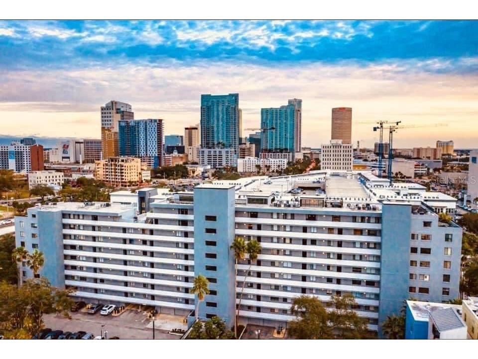 201 W Laurel Street #705 Tampa FL 33602 - HILLSBOROUGH T3450864 image1