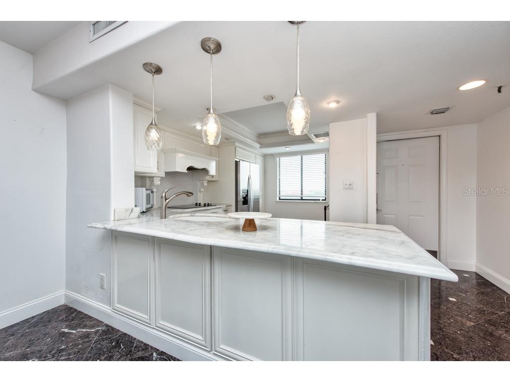 201 W Laurel Street #909 Tampa FL 33602 TB8426072 image14