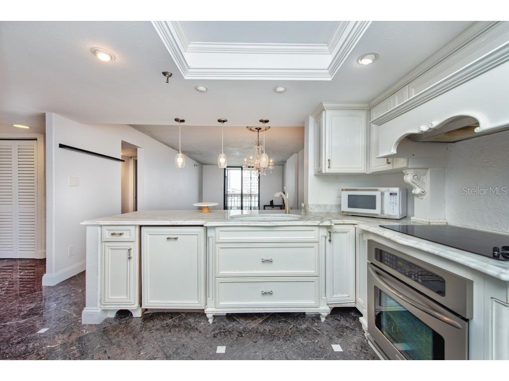 201 W Laurel Street #909 Tampa FL 33602 TB8426072 image17