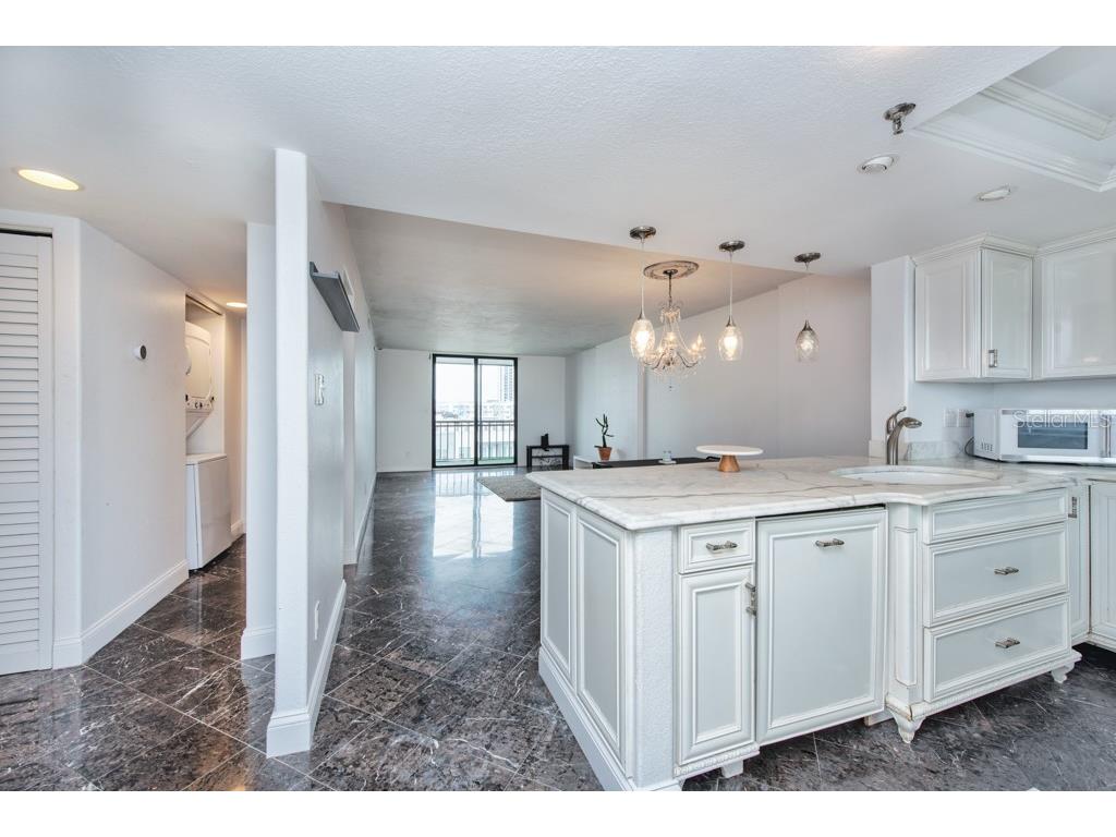 201 W Laurel Street #909 Tampa FL 33602 TB8426072 image7