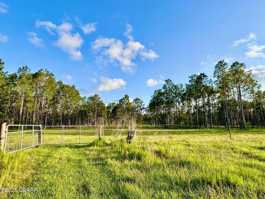 201 Wasick Lane Ormond Beach FL 32174 V4942403 image16