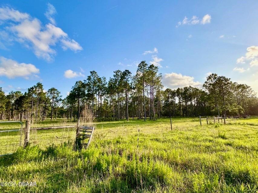 201 Wasick Lane Ormond Beach FL 32174 V4942403 image17