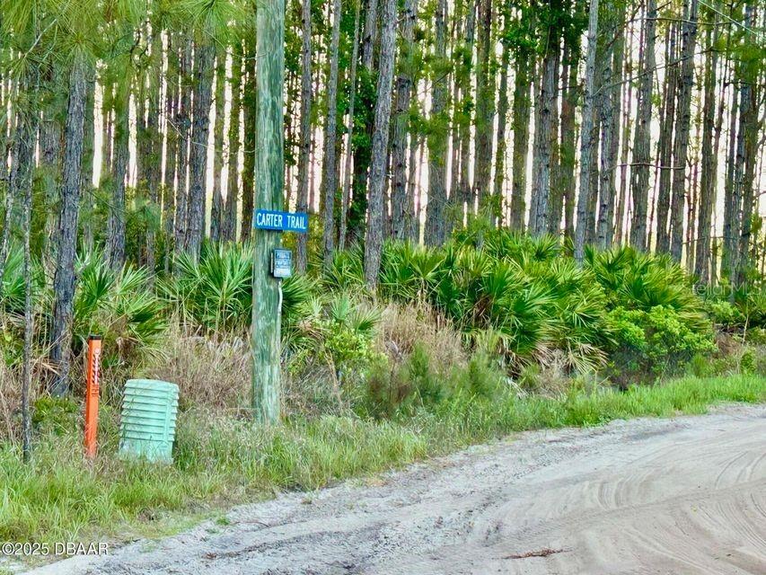 201 Wasick Lane Ormond Beach FL 32174 V4942403 image19