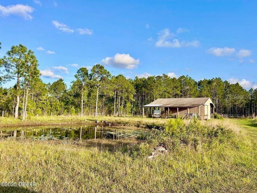 201 Wasick Lane Ormond Beach FL 32174 V4942403 image22