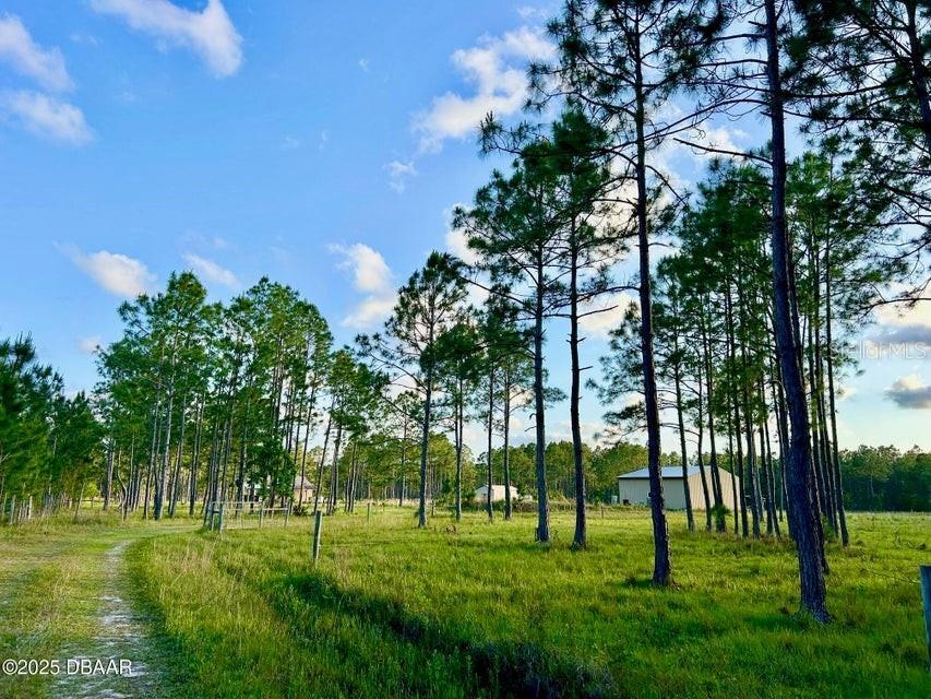 201 Wasick Lane Ormond Beach FL 32174 V4949549 image1