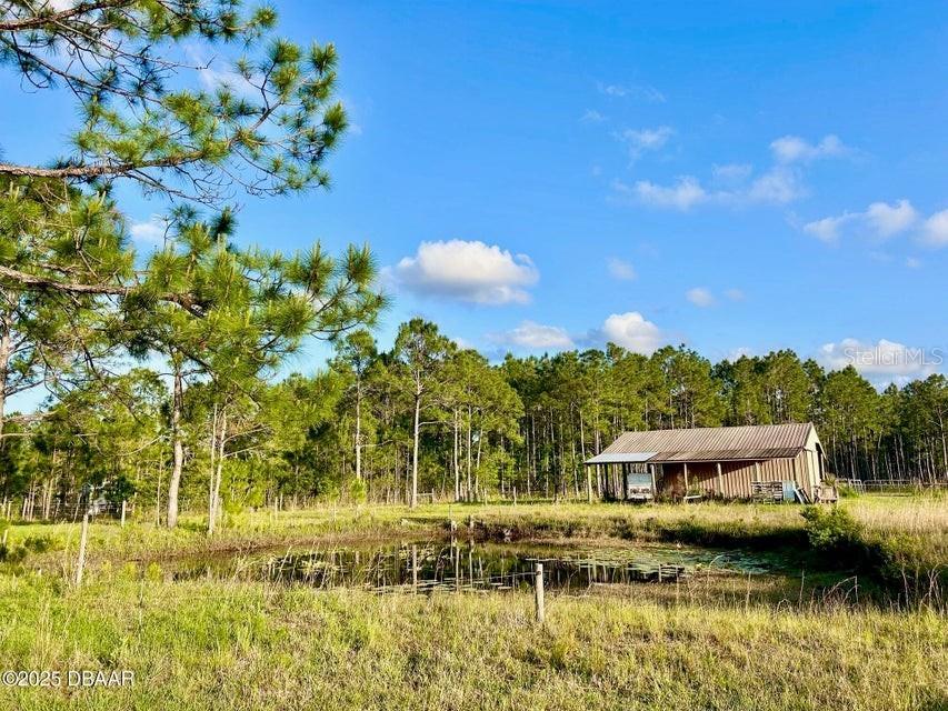 201 Wasick Lane Ormond Beach FL 32174 V4949549 image13