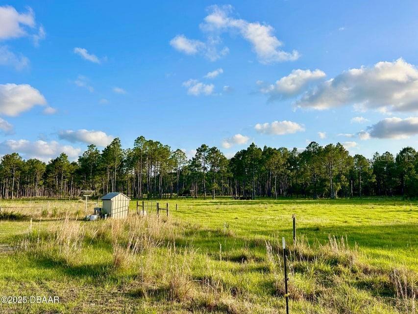 201 Wasick Lane Ormond Beach FL 32174 V4949549 image14