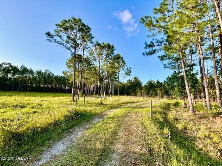 201 Wasick Lane Ormond Beach FL 32174 V4949549 image8