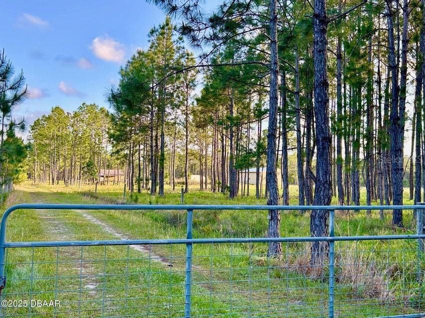 201 Wasick Lane Ormond Beach FL 32174 V4949549 image9