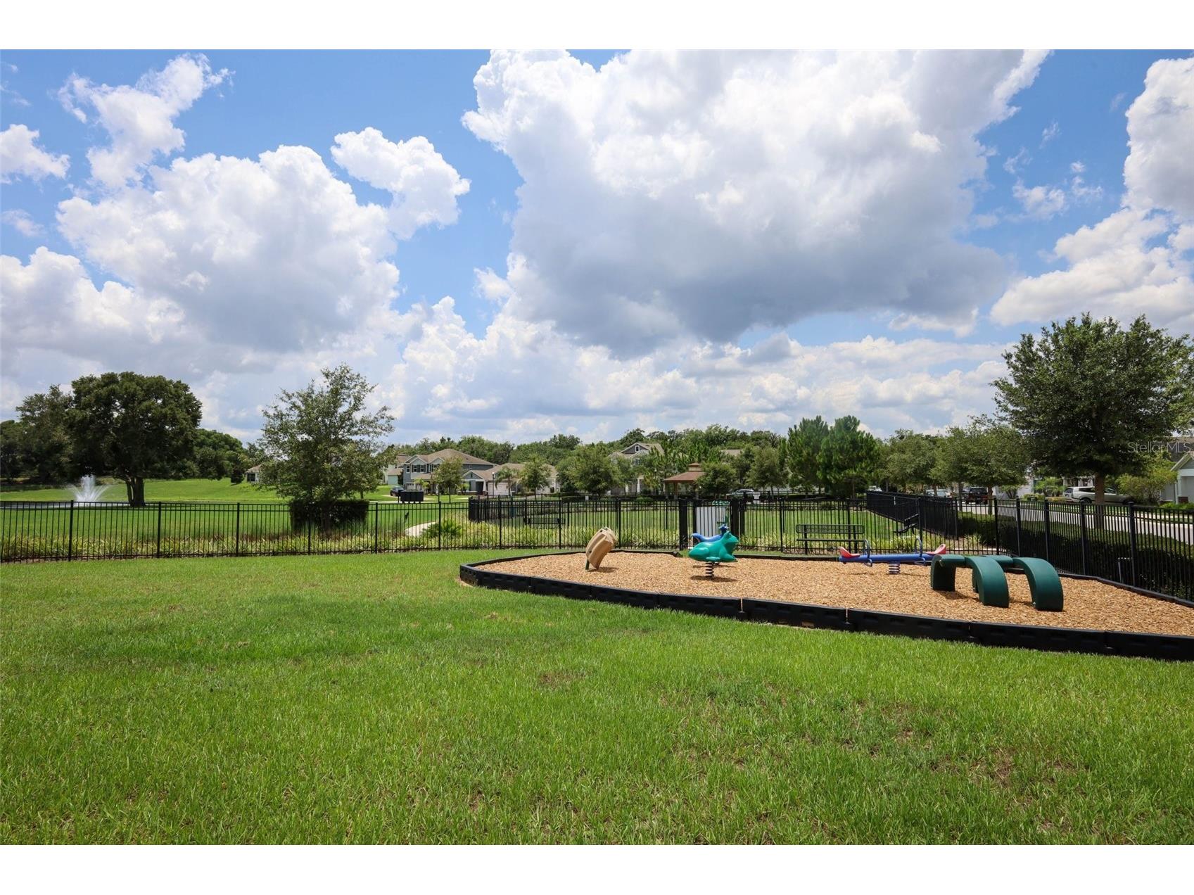 2010 Boss Hewett Street Winter Garden FL 34787 O6423216 image78