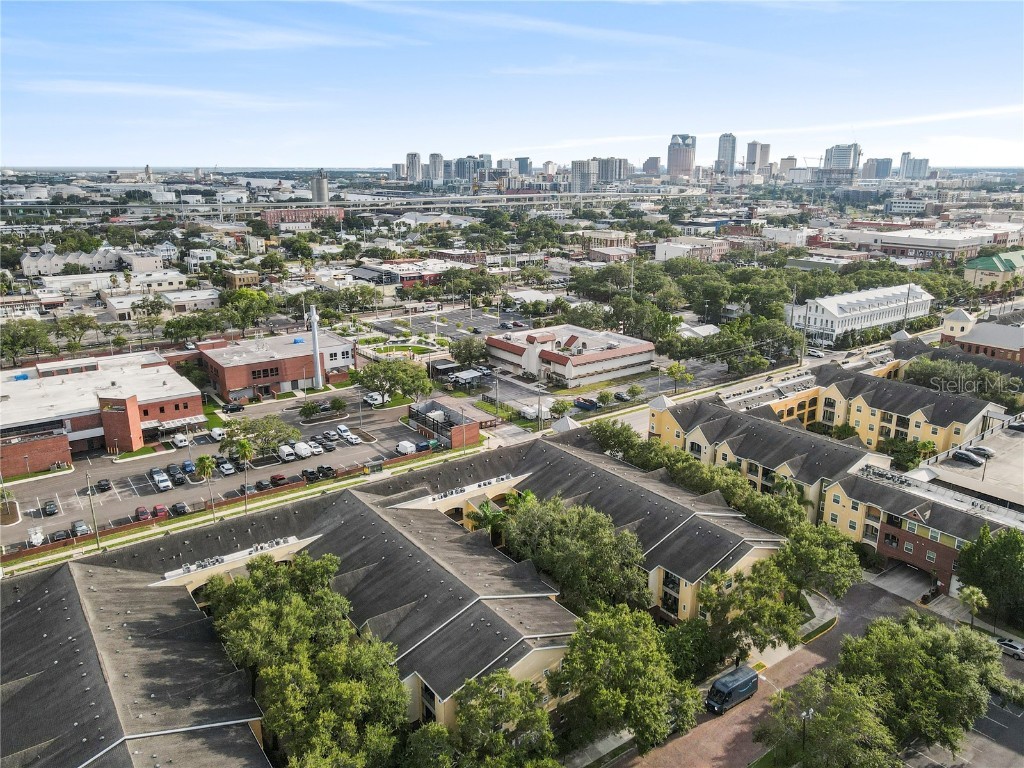 2010 E Palm Avenue #14202 Tampa FL 33605 TB8415767 image27