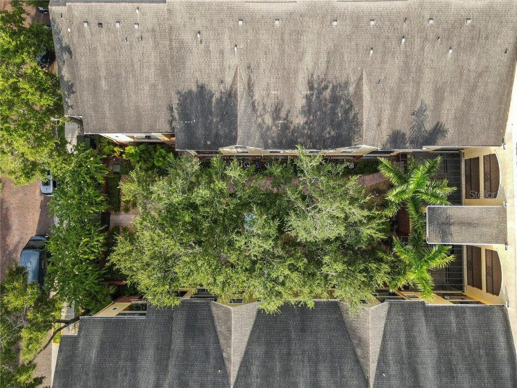 2010 E Palm Avenue #14202 Tampa FL 33605 TB8415767 image36