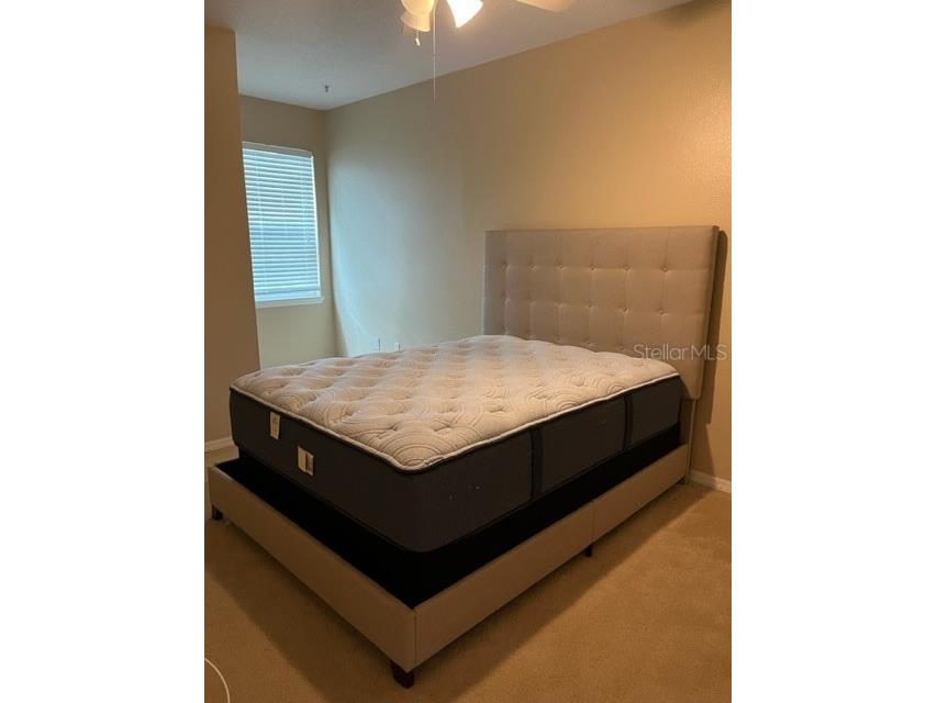 2010 E Palm Avenue #14215 Tampa FL 33605 TB8334366 image4