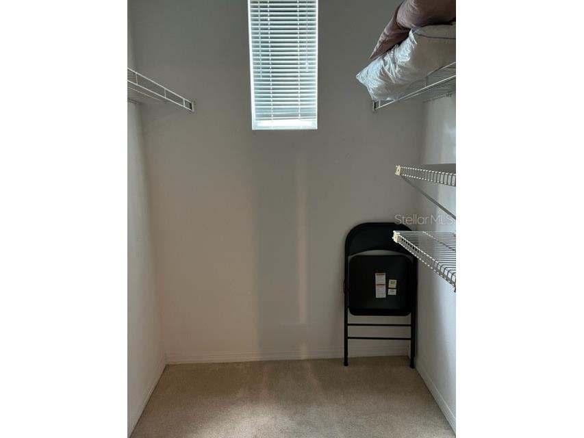 2010 E Palm Avenue #14215 Tampa FL 33605 TB8334366 image6