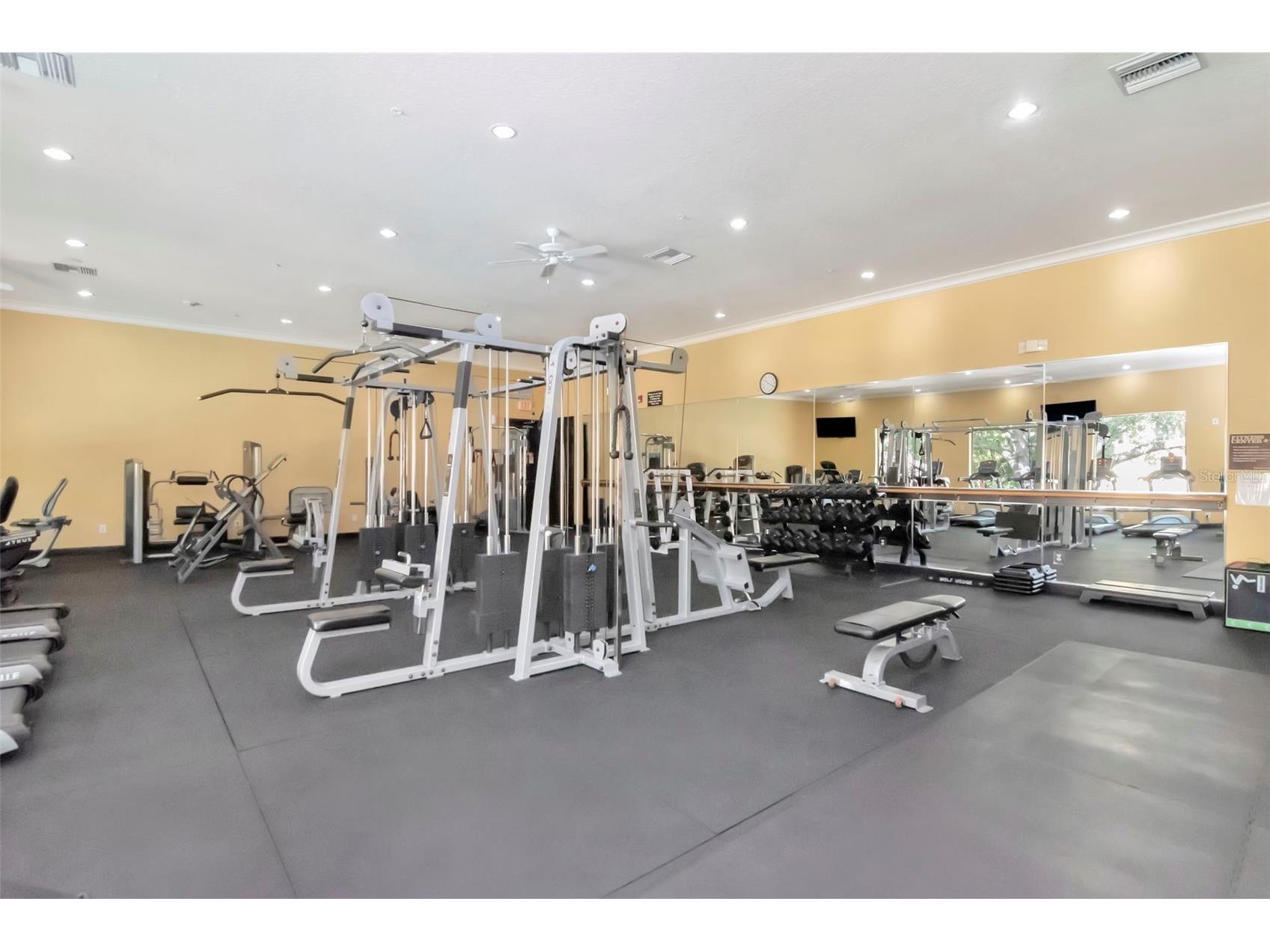 2010 E Palm Avenue #15310 Tampa FL 33605 TB8507608 image21