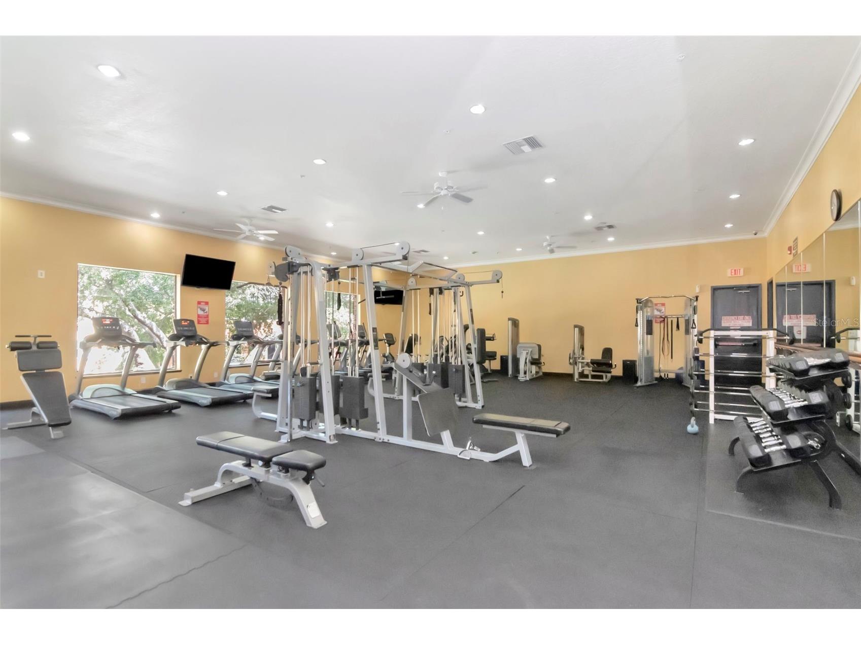 2010 E Palm Avenue #15310 Tampa FL 33605 TB8507608 image22