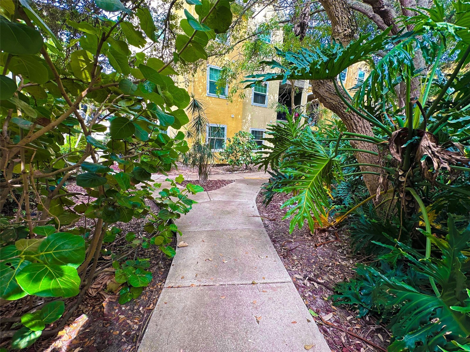 2010 E Palm Avenue #15310 Tampa FL 33605 TB8507608 image35