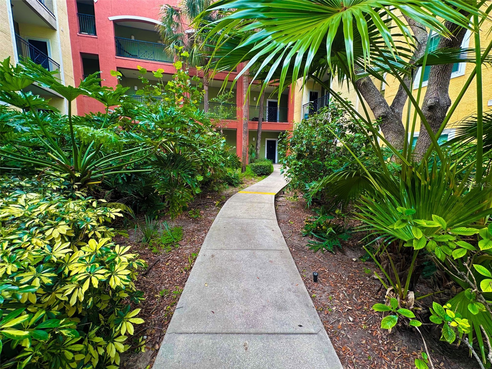 2010 E Palm Avenue #15310 Tampa FL 33605 TB8507608 image36