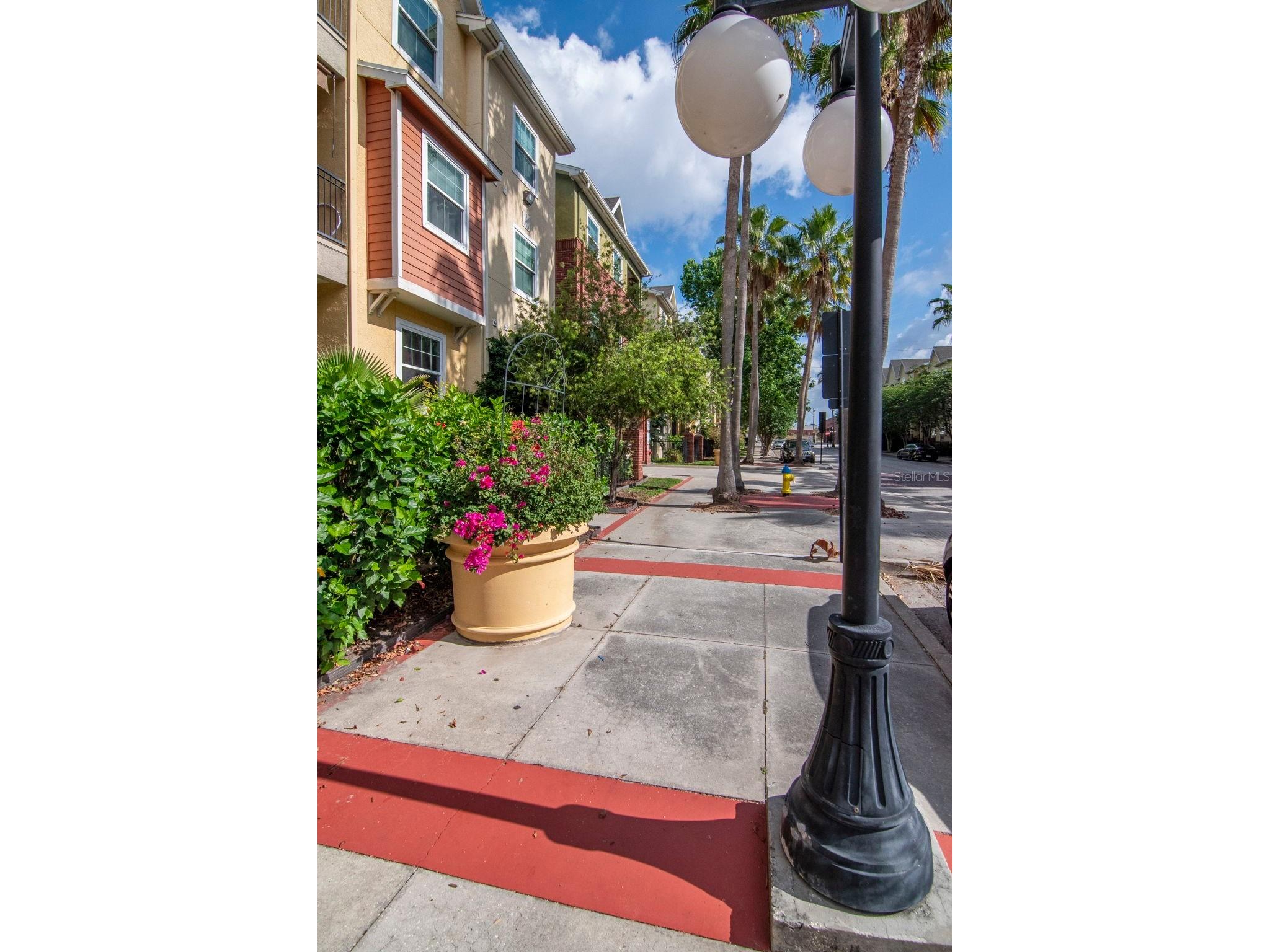 2010 E Palm Avenue #15310 Tampa FL 33605 TB8507608 image38