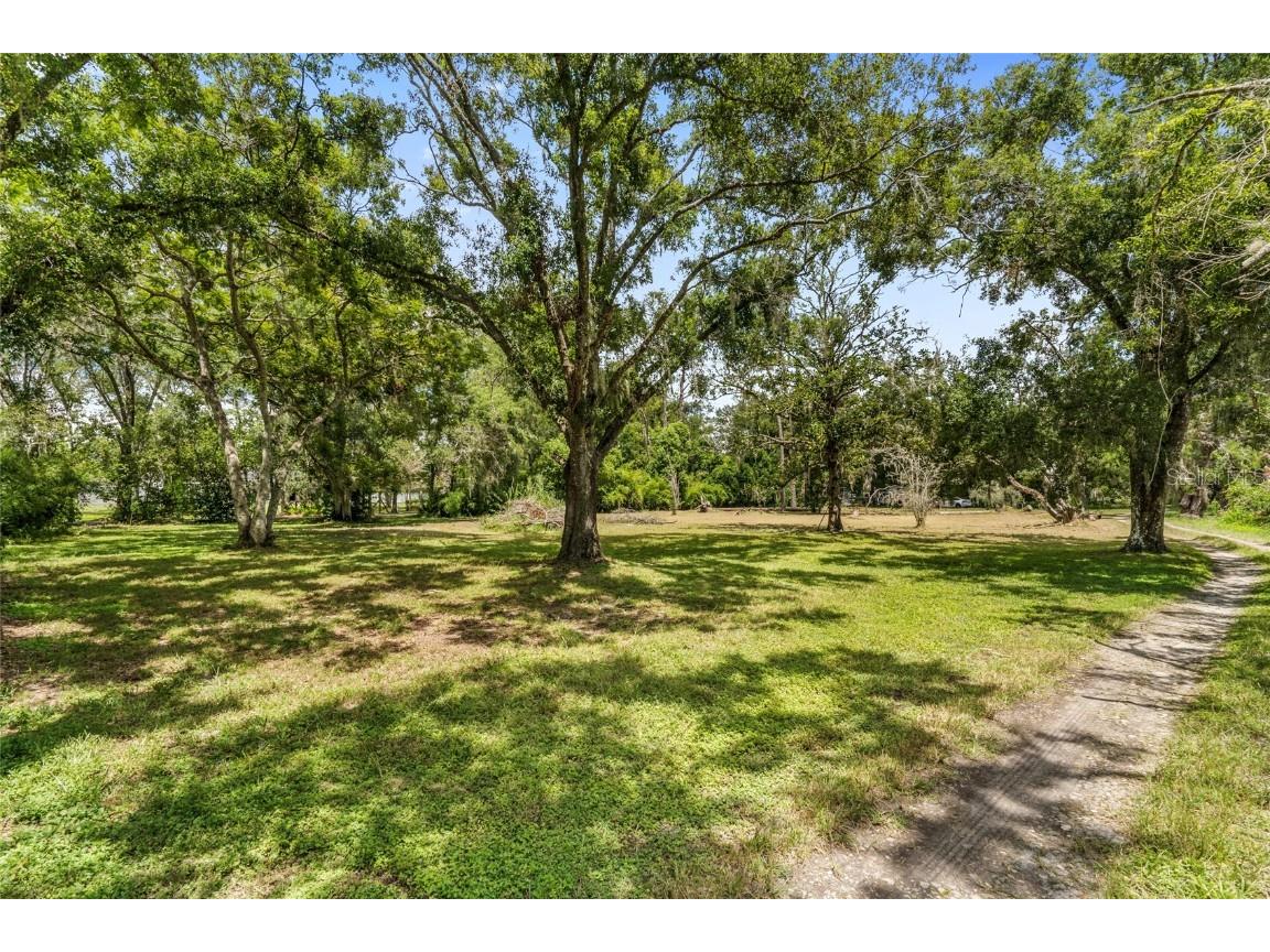 20105 Green Grass Lane Lutz FL 33558 - Moss Lake W7879086 image44