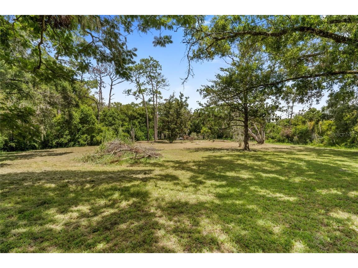 20105 Green Grass Lane Lutz FL 33558 - Moss Lake W7879086 image45