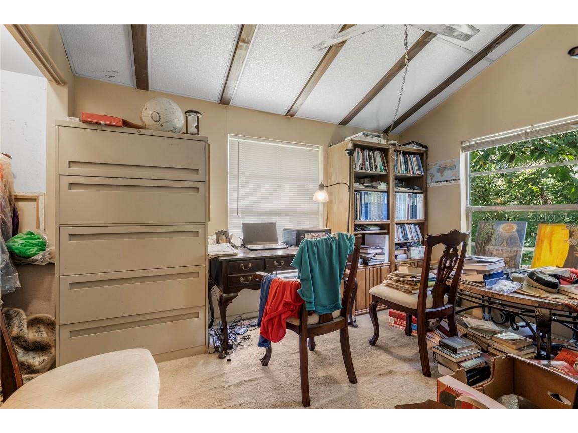 20105 Green Grass Lane Lutz FL 33558 - Moss Lake W7879086 image60