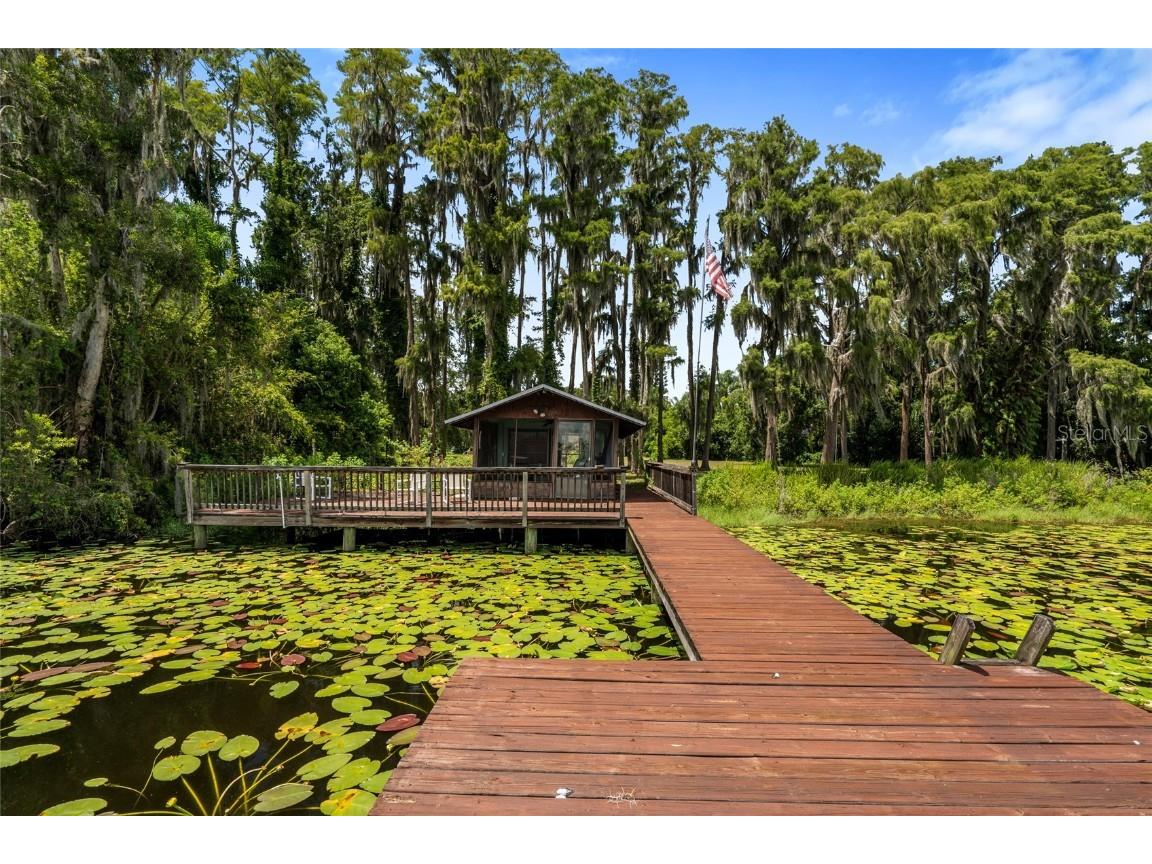 20105 Green Grass Lane Lutz FL 33558 - Moss Lake W7879086 image77