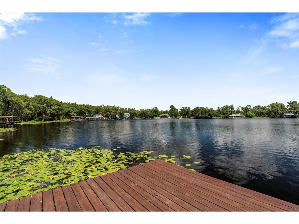 20105 Green Grass Lane Lutz FL 33558 - Moss Lake W7879086 image78