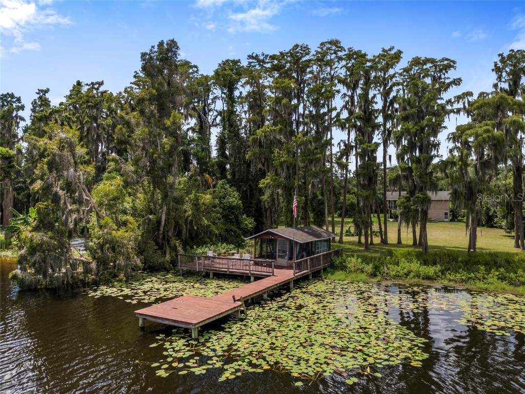 20105 Green Grass Lane Lutz FL 33558 - Moss Lake W7879086 image79