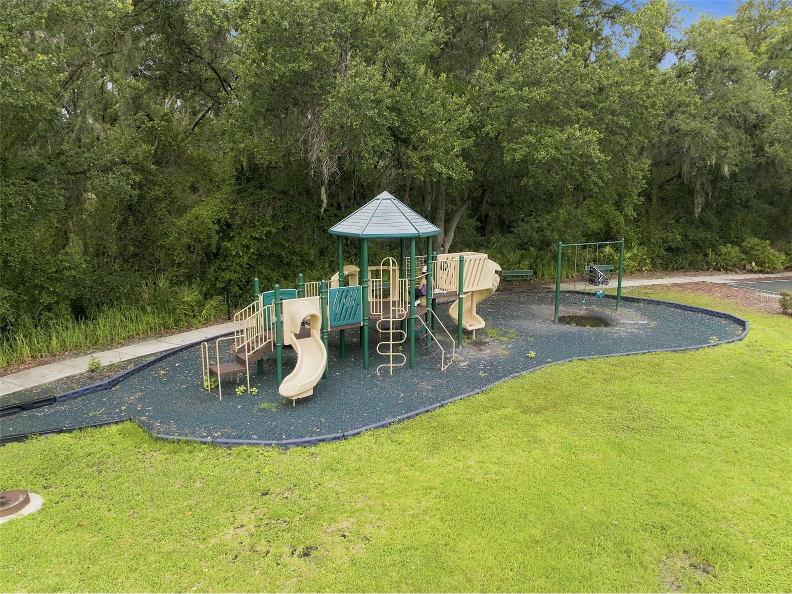 20105 Outpost Point Drive Tampa FL 33647 TB8529411 image83
