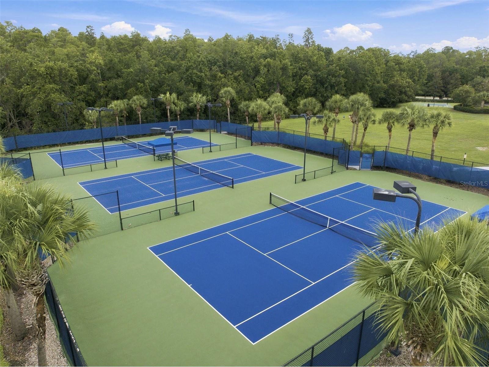 20105 Outpost Point Drive Tampa FL 33647 TB8529411 image87