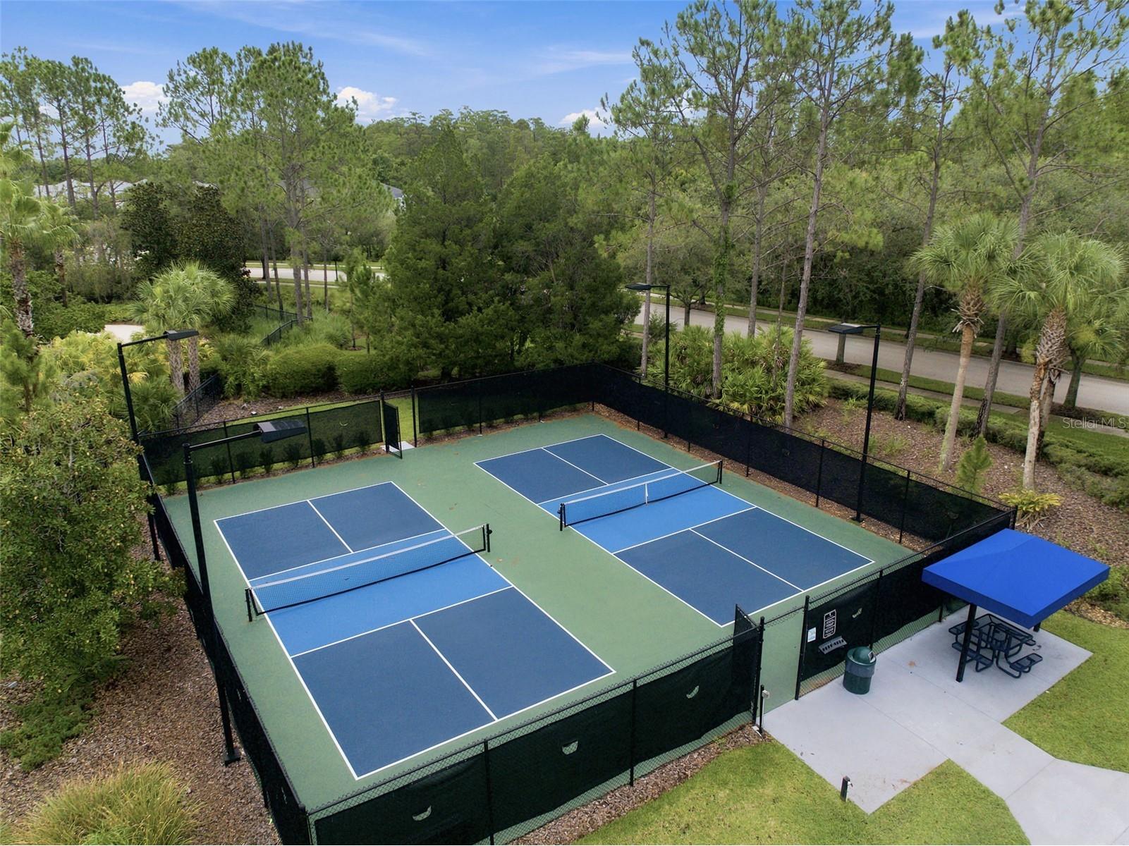 20105 Outpost Point Drive Tampa FL 33647 TB8529411 image88
