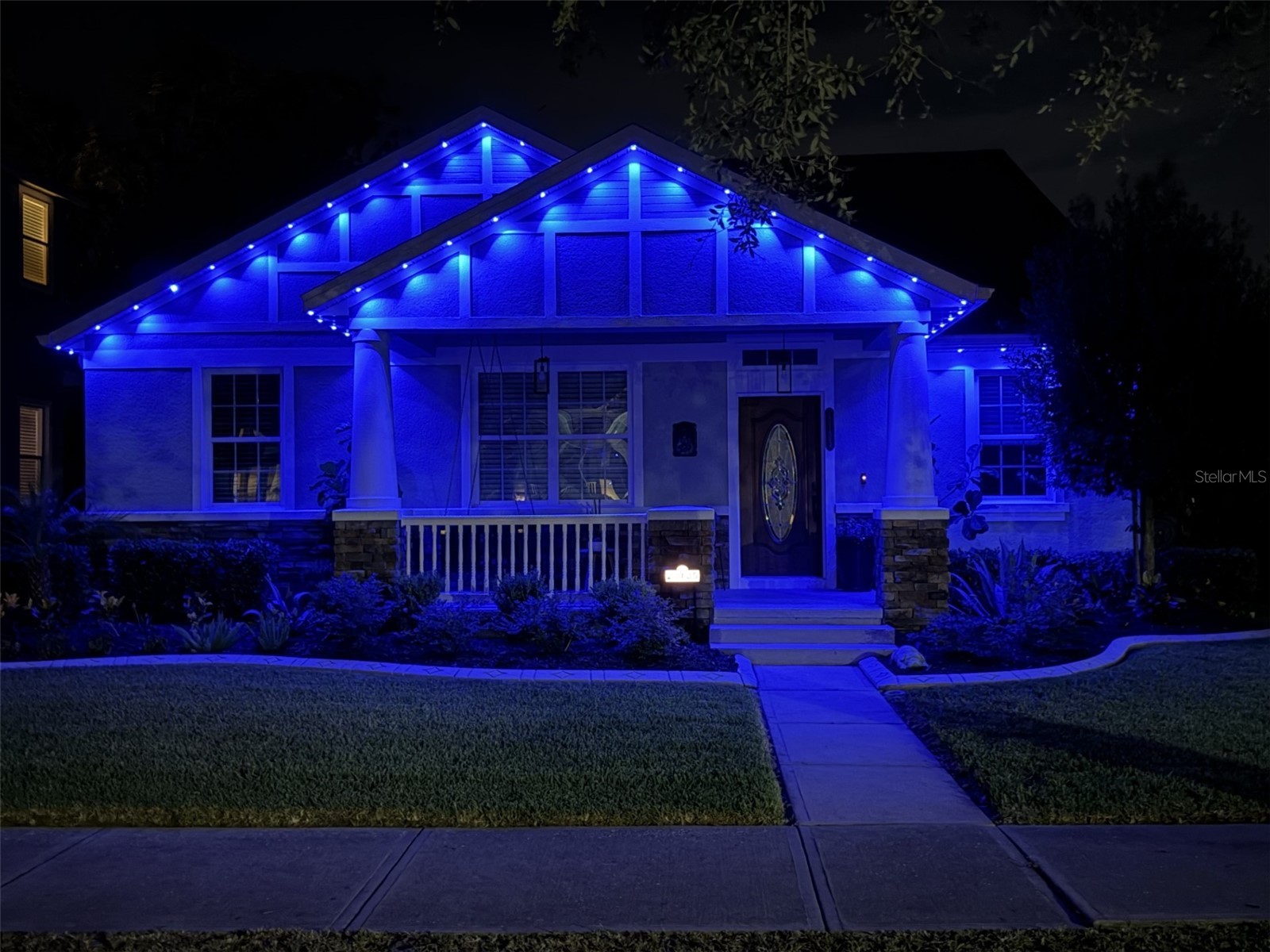 20105 Outpost Point Drive Tampa FL 33647 TB8529411 image98