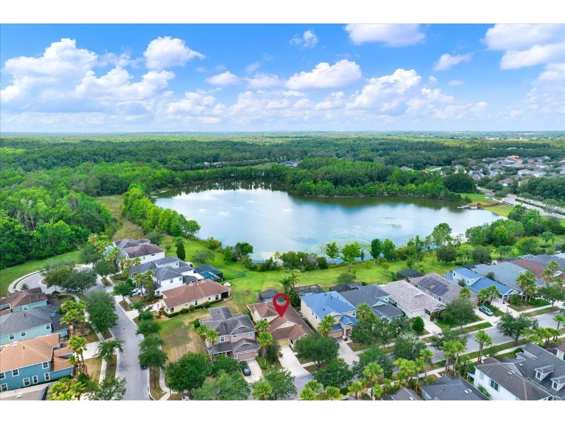 20106 Bending Creek Place Tampa FL 33647 - LAKE HAMPTON TB8388888 image4