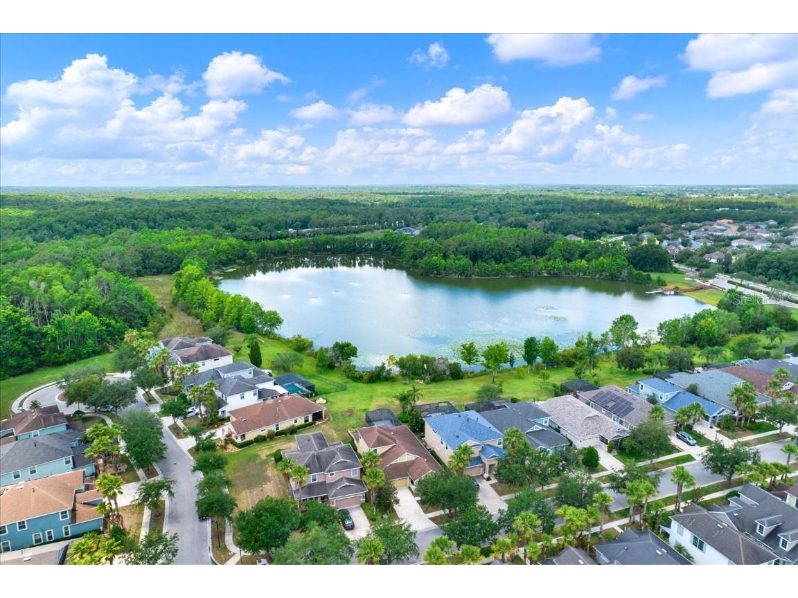 20106 Bending Creek Place Tampa FL 33647 - LAKE HAMPTON TB8388888 image43
